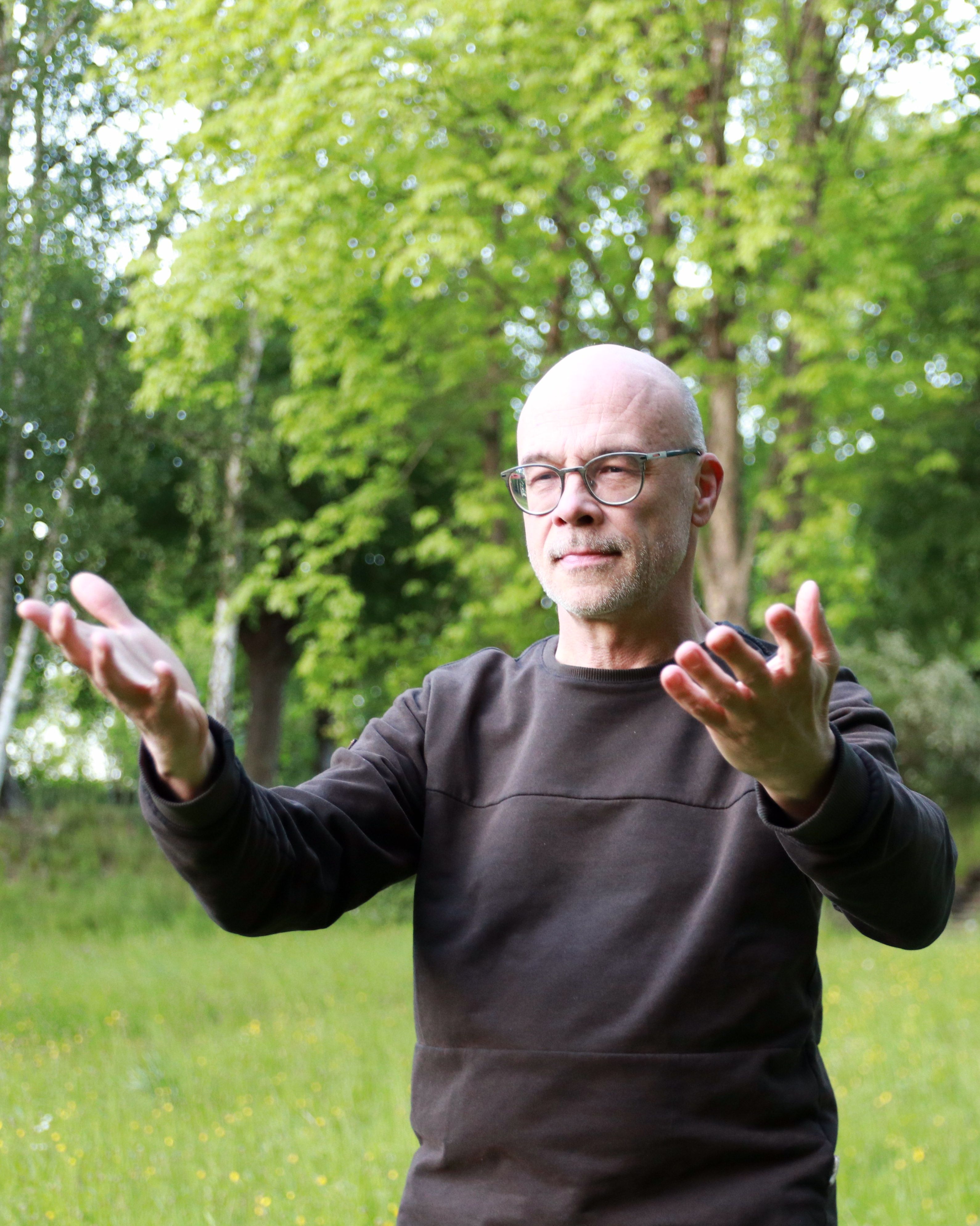 Baum findet seine Art zu leben an einem Berghang