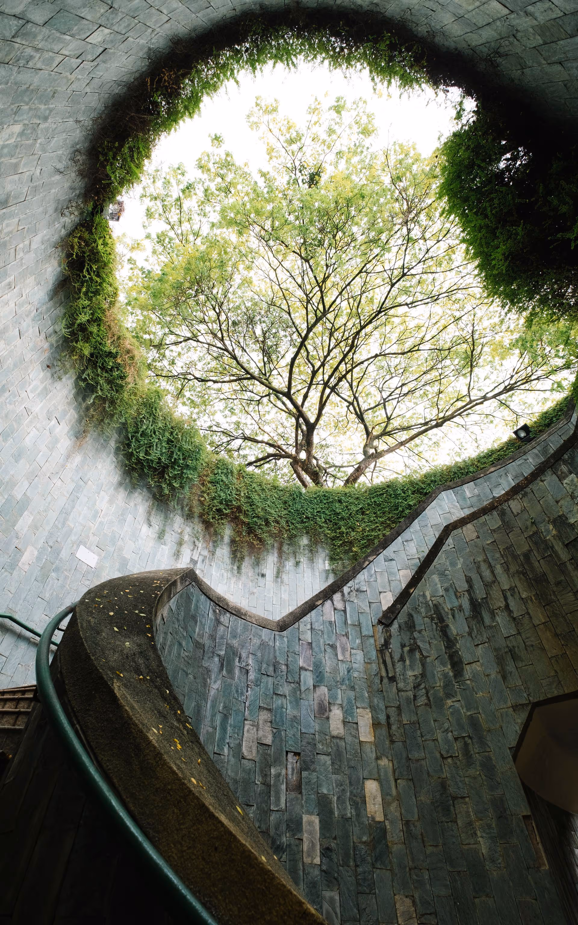 Blick aus einem Keller nach oben ins Licht